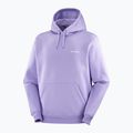 Pánská mikina  Salomon Logo Hoodie violet tulip 3