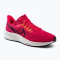 Pánské běžecké boty Nike Air Zoom Pegasus 39 červené DH4071-600