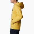 Pánská trekingová mikina Columbia Trek Hoodie žlutá 1957913 4