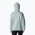 Pánská trekingová mikina Columbia Trek Hoodie šedá 1957913 2