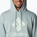 Pánská trekingová mikina Columbia Trek Hoodie šedá 1957913 5