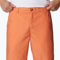 Pánské trekingové kraťasy Columbia Washed Out oranžové 1491953849 4
