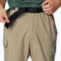 Pánské outdoorové kalhoty Columbia Silver Ridge Utility Convertible hnědé 2012962221 4