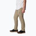 Pánské outdoorové kalhoty Columbia Silver Ridge Utility hnědé 2012952221 3