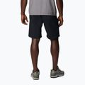 Pánské trekingové šortky Columbia Silver Ridge Utility black 2