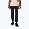 Pánské trekové kalhoty  Columbia Hike Jogger II black