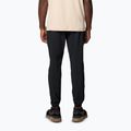 Pánské trekové kalhoty  Columbia Hike Jogger II black 2