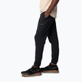 Pánské trekové kalhoty  Columbia Hike Jogger II black 3
