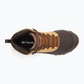 Pánské boty Columbia Expeditionist Shield V2 curry/ light brown 13