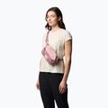 Ledvinka Columbia Trail Traveler Hip eraser pink/fig/lemon wash 5