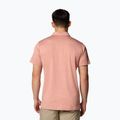 Pánské tričko Columbia Tech Trail Utility Polo tuscan heather 3