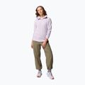 Dámská fleecová mikina Columbia Glacial IV 1/2 Zip lavender pearl 2