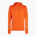 Pánská trekingová mikina  icebreaker Merino 260 Quantum IV Zip Hoodie blaze 12