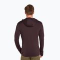 Pánská trekingová mikina  icebreaker Merino 260 Quantum IV Zip Hoodie bittersweet 3