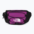 Ledvinka The North Face Jester Lumbar fialová  NF0A52TMYV41