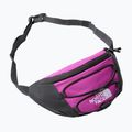 Ledvinka The North Face Jester Lumbar fialová  NF0A52TMYV41 6