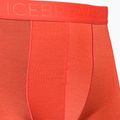 Pánské termální boxerky Icebreaker Anatomica Cool-Lite červené 105223 3