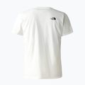 Pánské trekingové tričko The North Face Foundation Graphic white NF0A55EFQ4C1 2