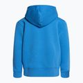 Dětská trekingová mikina The North Face Drew Peak P/O Hoodie blue NF0A82ENLV61 2