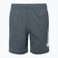 Dětské šortky Nike Dri-Fit Multi smoke grey/white