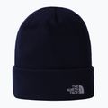 Pánská trekingová čepice The North Face Norm Beanie summit navy