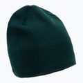 Zimní čepice The North Face Bones Recycled zelená NF0A3FNSD7V1
