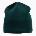 Zimní čepice The North Face Bones Recycled zelená NF0A3FNSD7V1 2