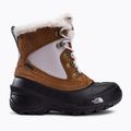 Dětské trekové boty The North Face Shellista Extreme brown NF0A2T5V9ZW1 2