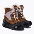 Dětské trekové boty The North Face Shellista Extreme brown NF0A2T5V9ZW1 4