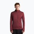 Pánská mikina Icebreaker Merino 260 Quantum IV LS Zip Hoodie port/agate