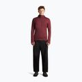Pánská mikina Icebreaker Merino 260 Quantum IV LS Zip Hoodie port/agate 4