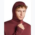 Pánská mikina Icebreaker Merino 260 Quantum IV LS Zip Hoodie port/agate 6