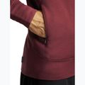 Pánská mikina Icebreaker Merino 260 Quantum IV LS Zip Hoodie port/agate 9