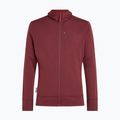 Pánská mikina Icebreaker Merino 260 Quantum IV LS Zip Hoodie port/agate 10