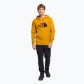 Pánská treková mikina The North Face Drew Peak Pullover Hoodie žlutá NF00AHJY76S1 2
