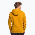 Pánská treková mikina The North Face Drew Peak Pullover Hoodie žlutá NF00AHJY76S1 4