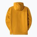 Pánská treková mikina The North Face Drew Peak Pullover Hoodie žlutá NF00AHJY76S1 11
