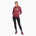 Dámská treková mikina The North Face Drew Peak Pullover Hoodie wild ginger NF0A55EC6R41 2