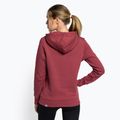 Dámská treková mikina The North Face Drew Peak Pullover Hoodie wild ginger NF0A55EC6R41 4