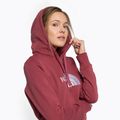 Dámská treková mikina The North Face Drew Peak Pullover Hoodie wild ginger NF0A55EC6R41 5