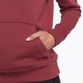 Dámská treková mikina The North Face Drew Peak Pullover Hoodie wild ginger NF0A55EC6R41 7