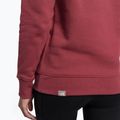 Dámská treková mikina The North Face Drew Peak Pullover Hoodie wild ginger NF0A55EC6R41 8