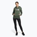 Dámská treková mikina The North Face Drew Peak Pullover Hoodie zelená NF0A55ECNYC1 2
