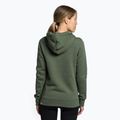 Dámská treková mikina The North Face Drew Peak Pullover Hoodie zelená NF0A55ECNYC1 4