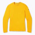 Pánské termo tričko Smartwool Merino 250 Baselayer Crew Boxed honey gold 6