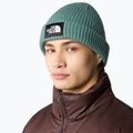 Zimní čepice The North Face Salty dark sage 4