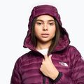 Dámská zimní bunda The North Face Summit Breithorn Hoodie boysenberry 3