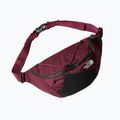 The North Face Lumbnical 4 l boysenberry ledvinový sáček 3
