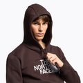 Pánská mikina The North Face Drew Peak Pullover Hoodie coal brown 3