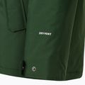 Pánská zimní bunda The North Face Zaneck Jacket pine needle 9